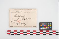 Etikett zu Bronzegürtelblech (NHMW-PRAE-026353)